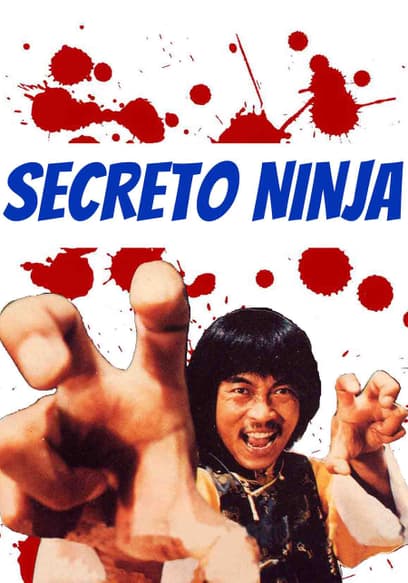 Secreto Ninja (Doblado)