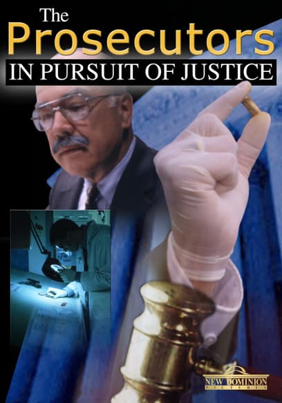 The Prosecutors: In Pursuit of Justice