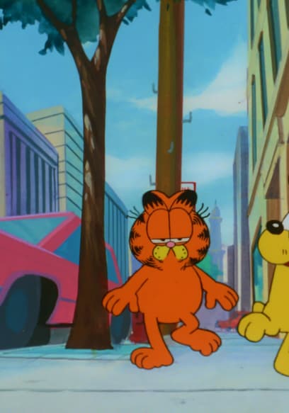 Watch Garfield and Friends S07:E713 - Alley Katta & - Free TV Shows | Tubi