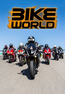 The discount bike world