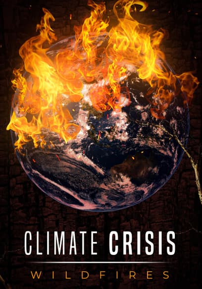 Climate Crisis: Wildfires