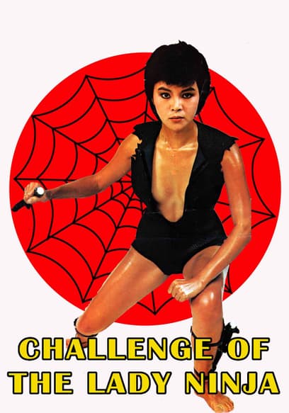 Challenge of the Lady Ninja