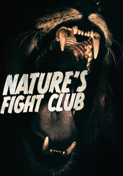 Nature's Fight Club