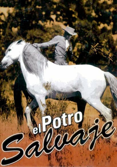 El Potro Salvaje