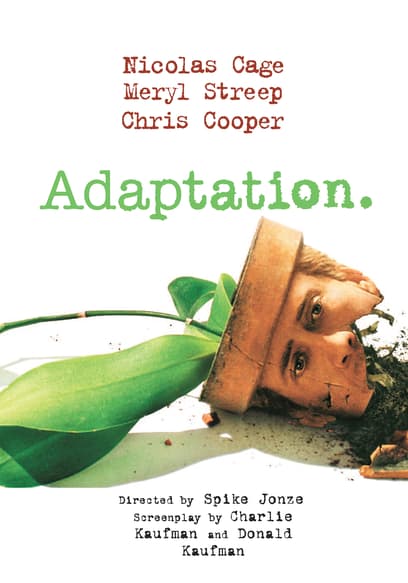 Adaptation