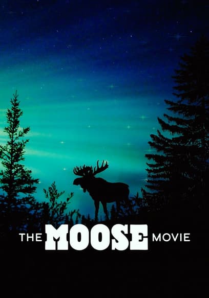 The Moose Movie