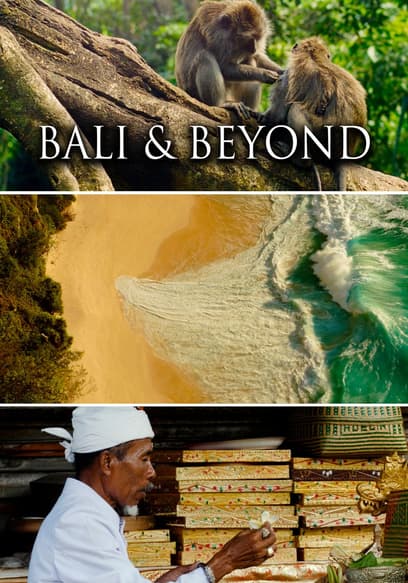 Bali & Beyond