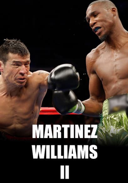 Boxing's Best of 2010: Martinez vs. Williams II