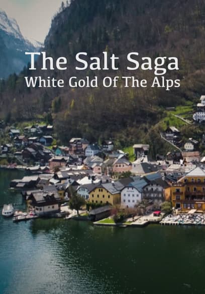 The Salt Saga: White Gold of the Alps