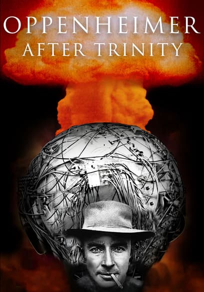 Oppenheimer After Trinity