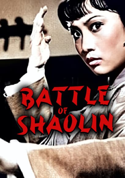 Battle of Shaolin