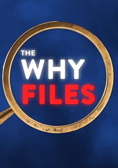 Watch The Why Files Season 2 - Free TV Shows | Tubi