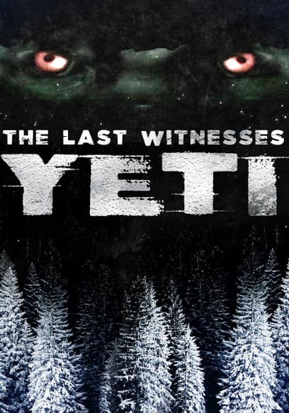 Yeti: The Last Witness
