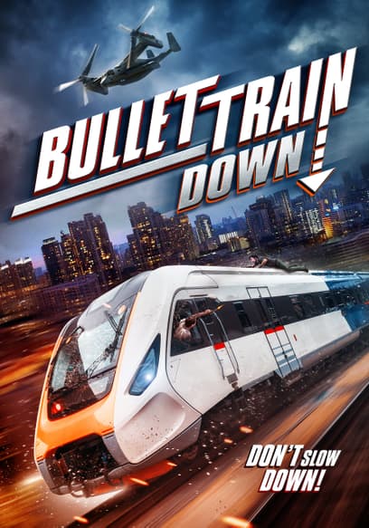 Bullet Train Down