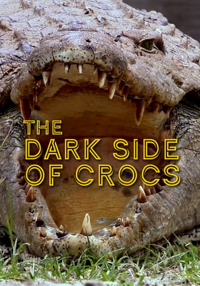 The Dark Side of Crocs