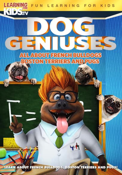 Dog Geniuses: All About French Bulldogs, Boston Terriers, and Pugs