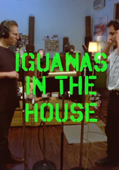 Iguanas in the House