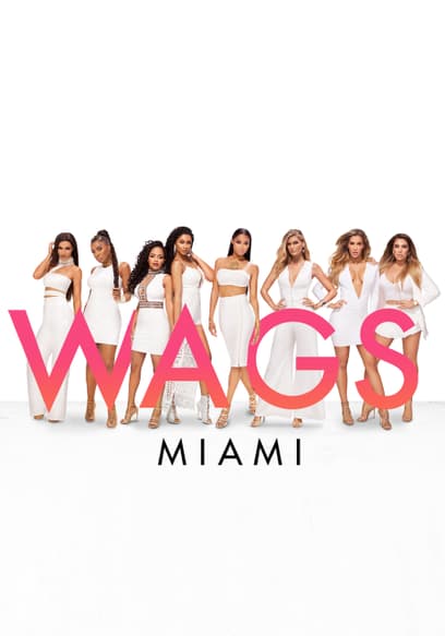 WAGS Miami