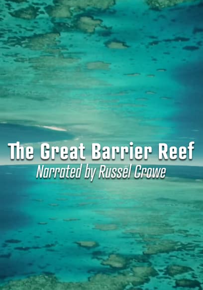 Great Barrier Reef: Living Treasure