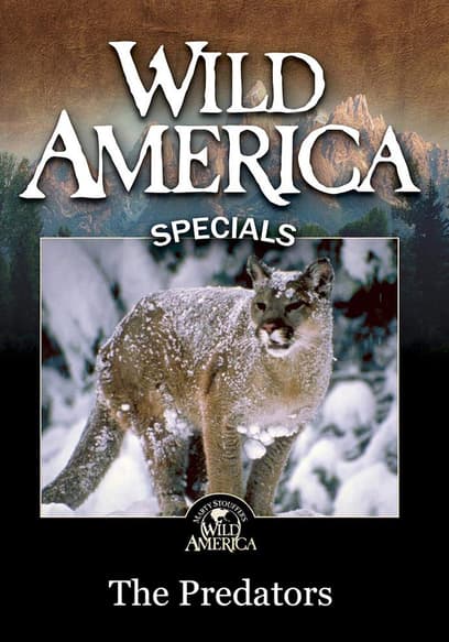 Wild America Specials: The Predators