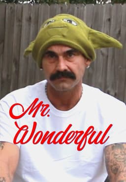 Watch Mr. Wonderful