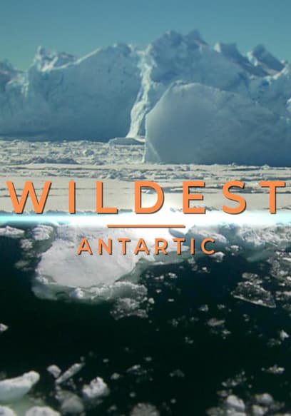 Wildest Places: Antarctic