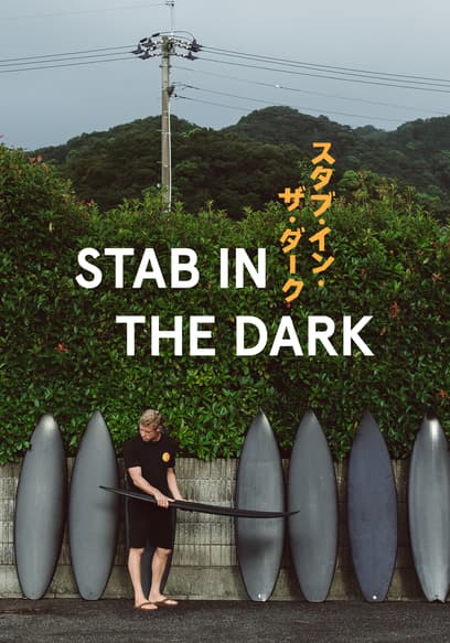 Stab in the Dark
