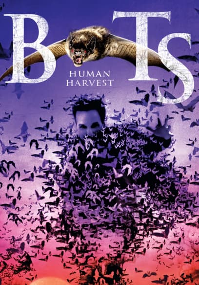 Bats: Human Harvest