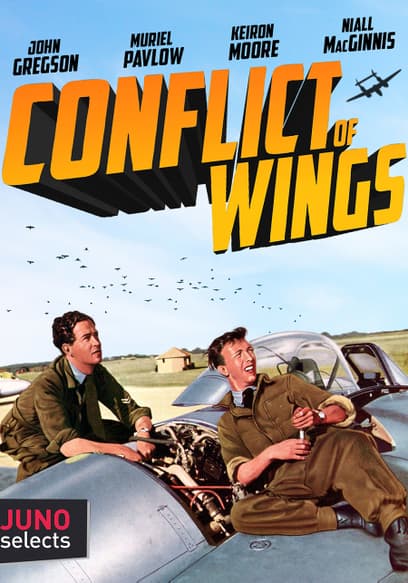 Conflict of Wings