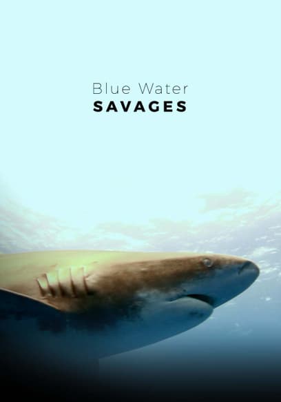 Blue Water Savages