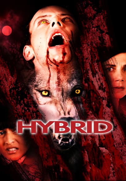 Hybrid