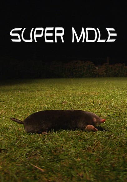 Super Mole