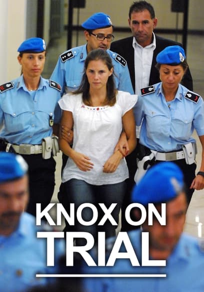Knox on Trial: The Key Questions