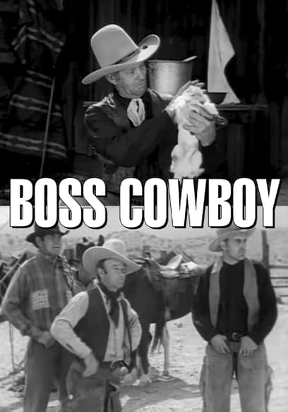 Boss Cowboy