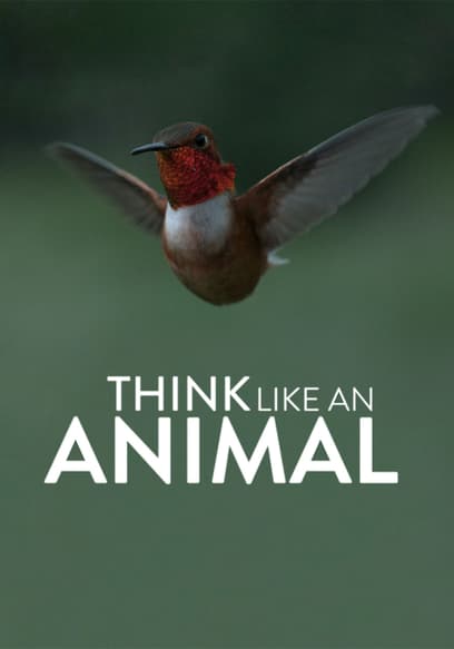 The Nature of Things: Think Like an Animal