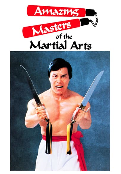 Amazing Masters of the Martial Arts