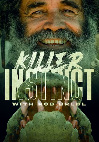 Killer Instinct with Rob Bredl