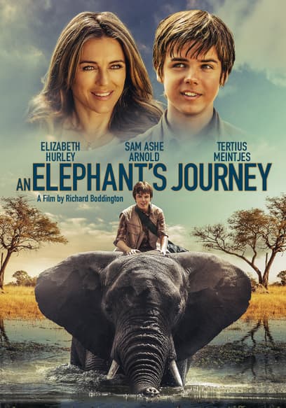 An Elephant's Journey
