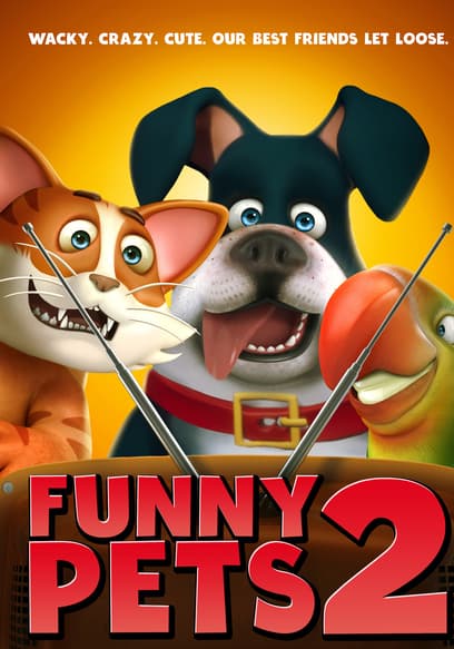 Funny Pets 2