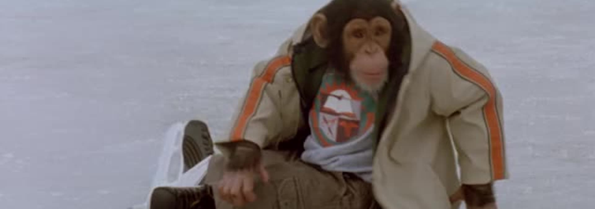 Watch MVP Most Valuable Primate (2000) Free Movies Tubi