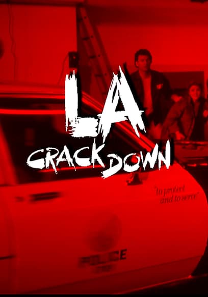 LA Crackdown