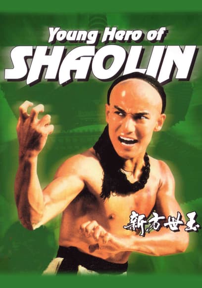 Young Hero of Shaolin