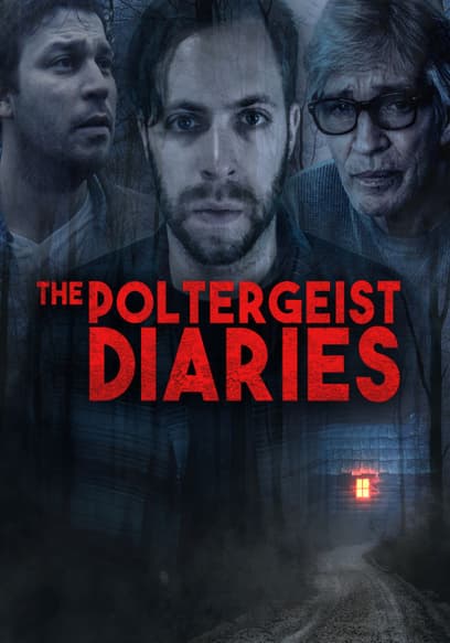 The Poltergeist Diaries