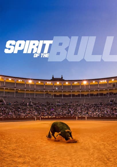 The Spirit of the Bull