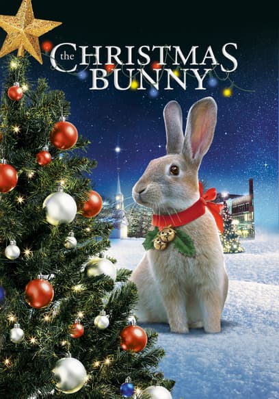 The Christmas Bunny