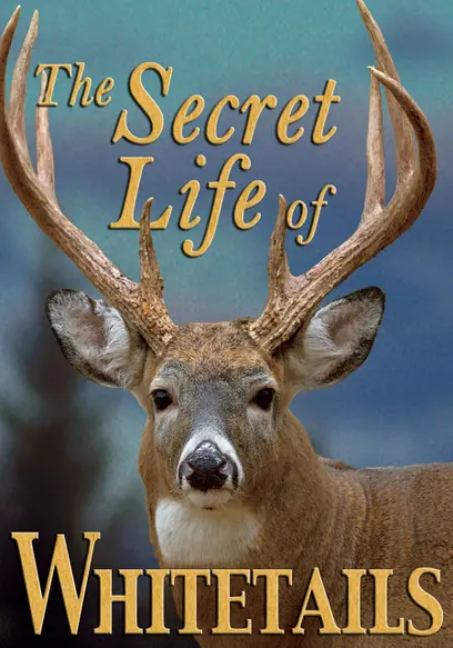 The Secret Life of Whitetails