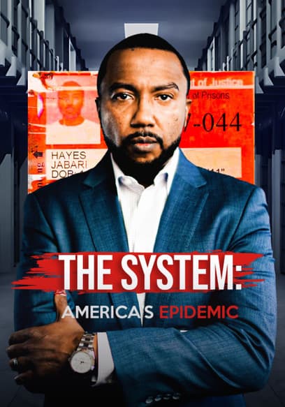 The System: America's Epidemic