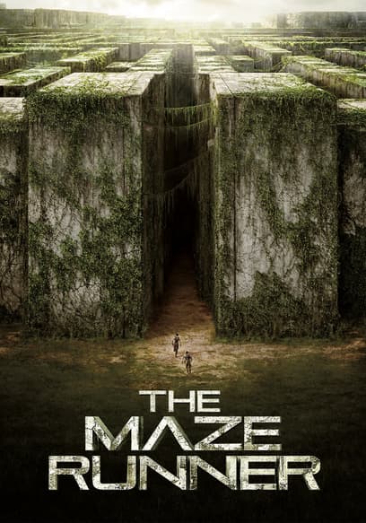 The Maze Runner