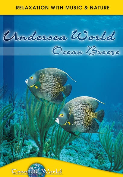 Undersea World Ocean Breeze: Tranquil World Relaxation With Music & Nature