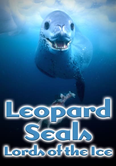 Watch Leopard Seals: Lords of the Ice (2002) - Free Movies | Tubi